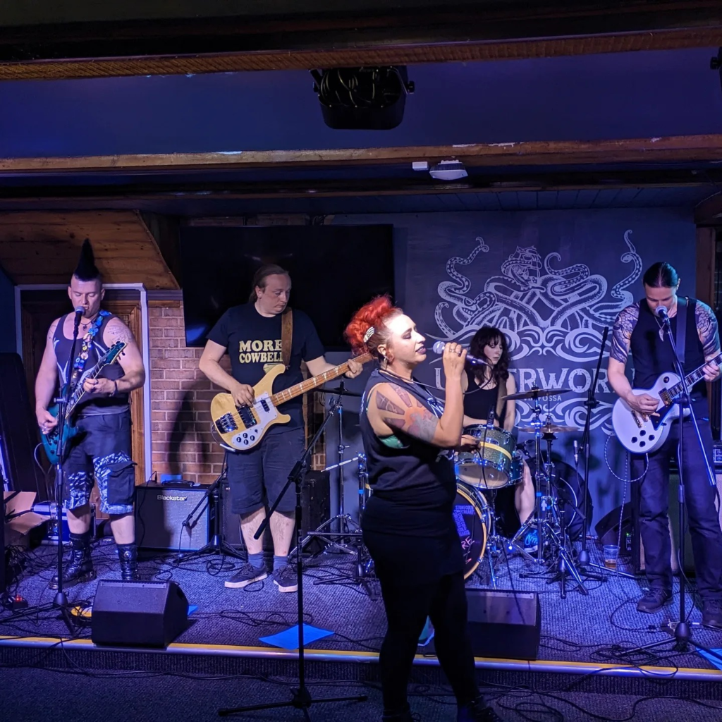 A photo of my five-piece band Interplanetary Trash Talk playing at Via Fossa. I am on the left as the photo looks at it, playing guitar and singing.